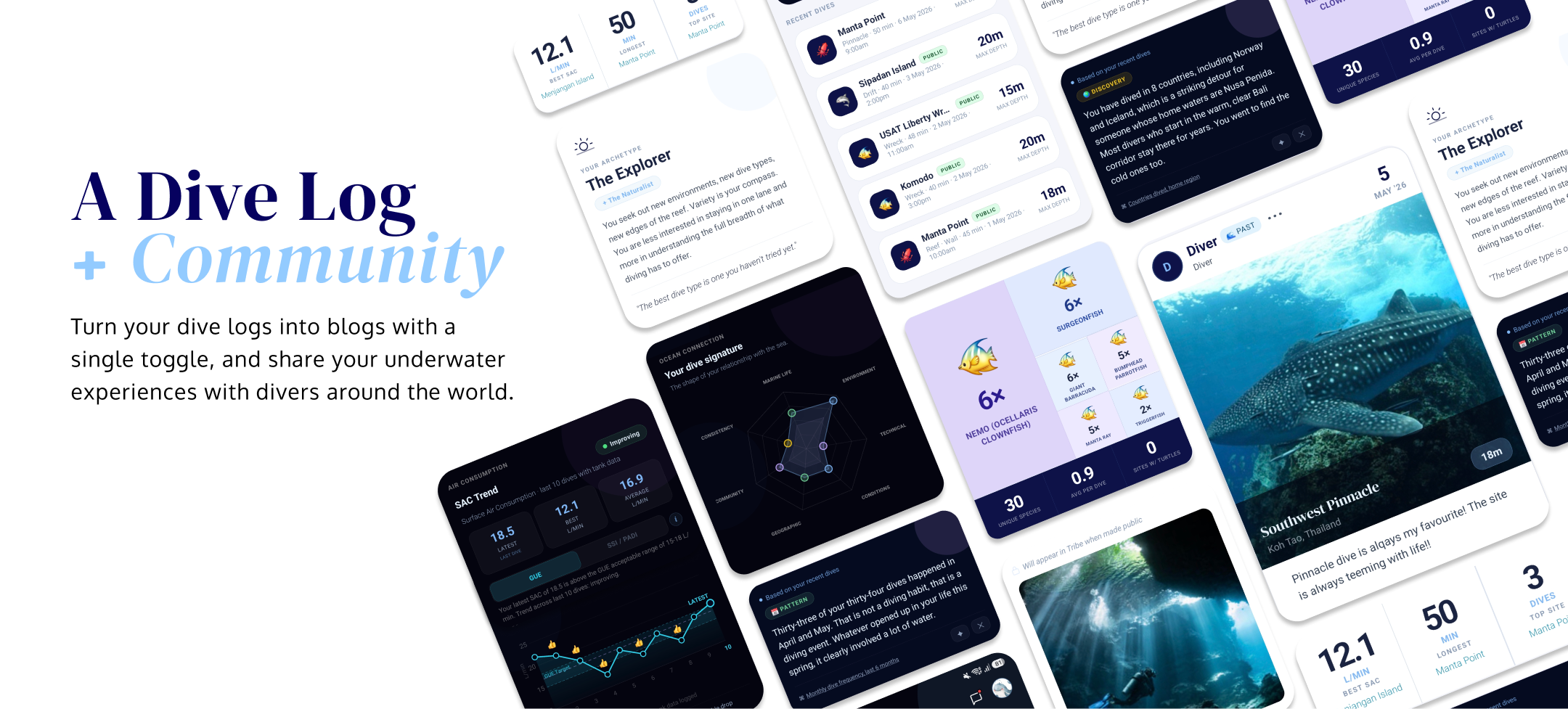 A Dive Log + Community: AfterDive features overview