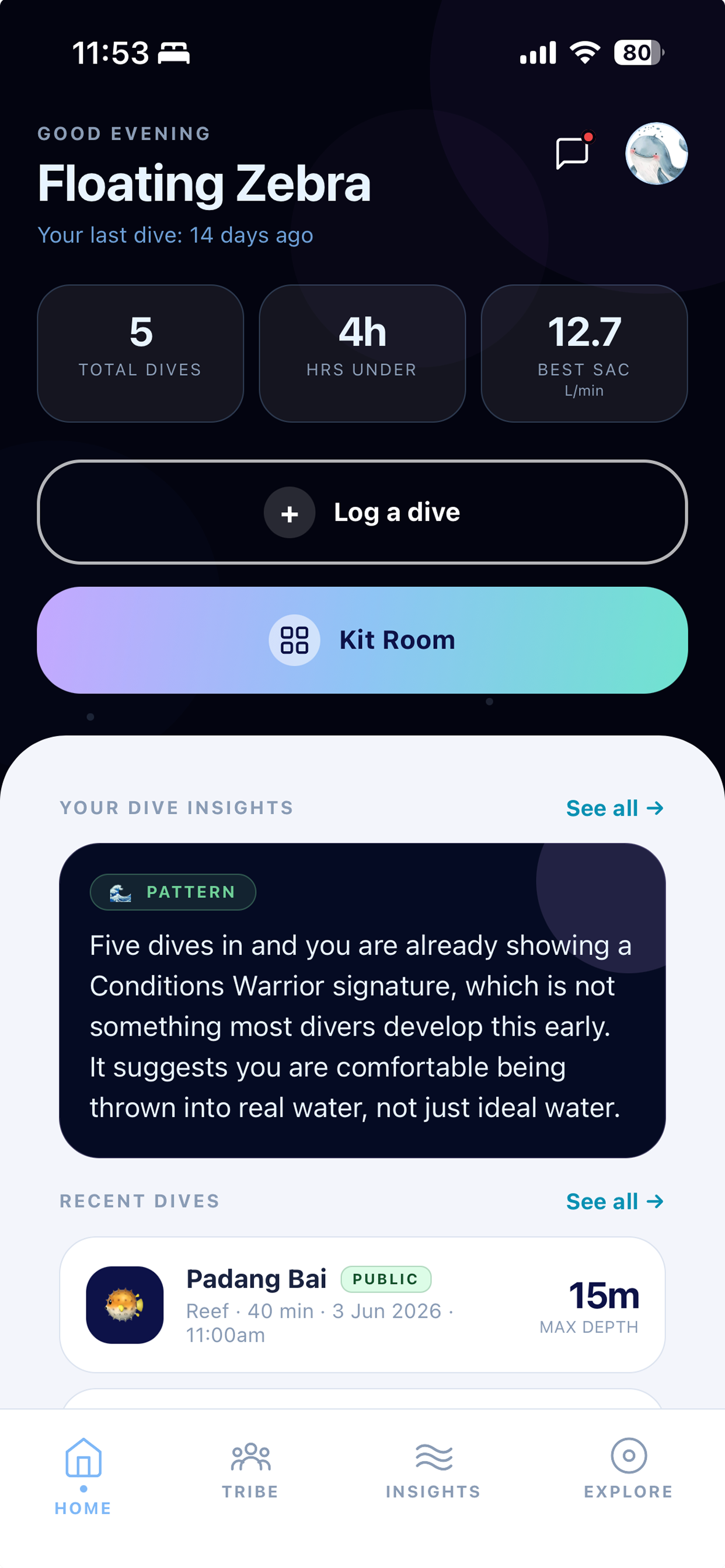 Home screen with Kit Room