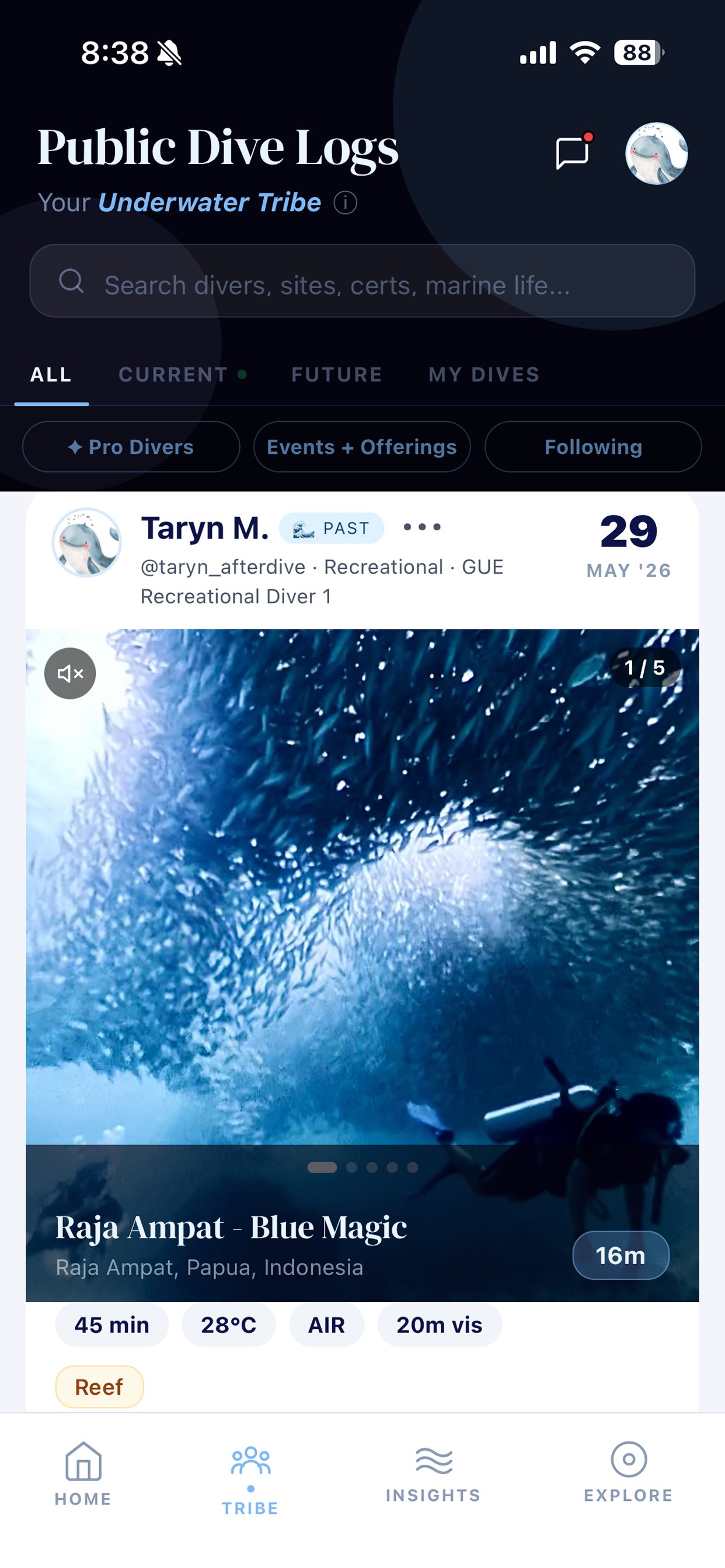 AfterDive Public Dive Logs screen