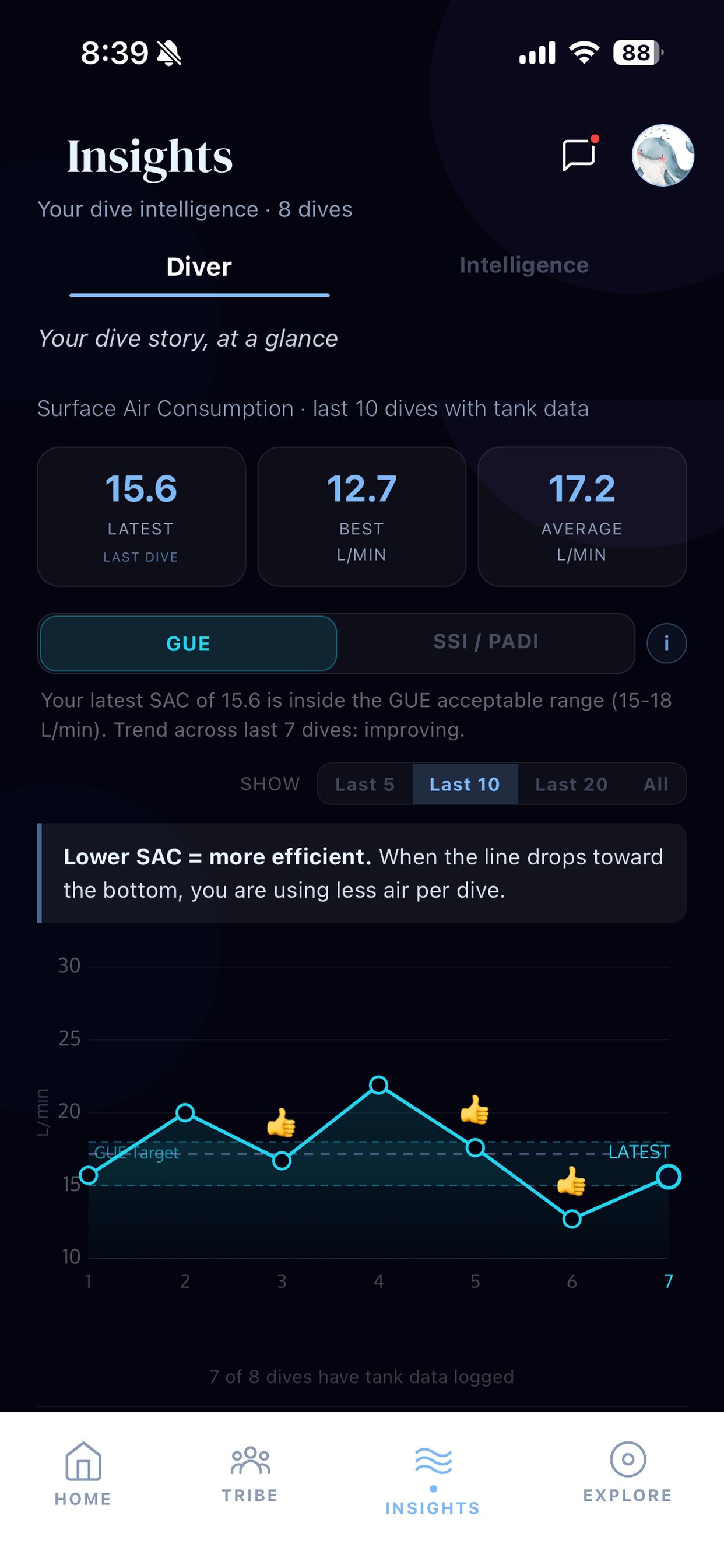Dive insights