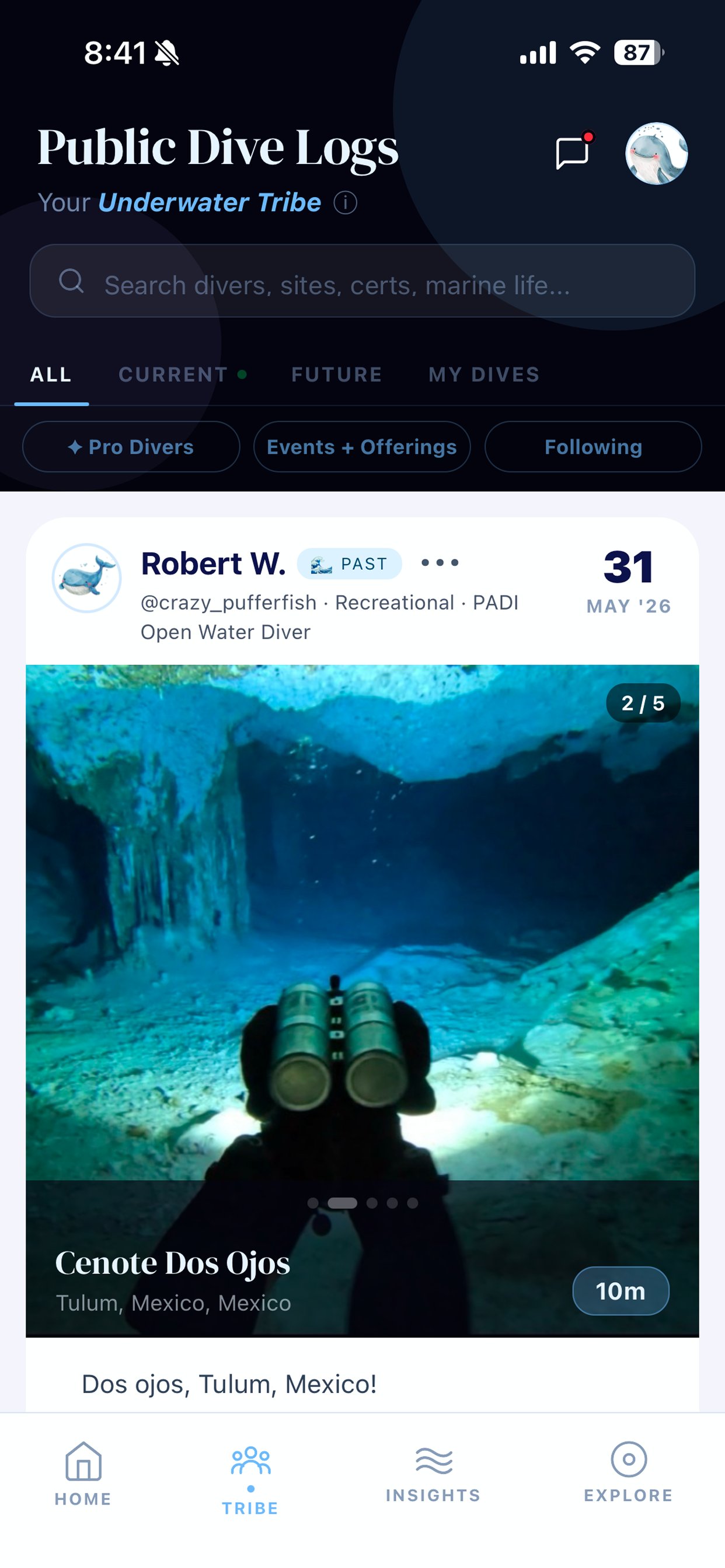 Public dive logs feed in the AfterDive Tribe