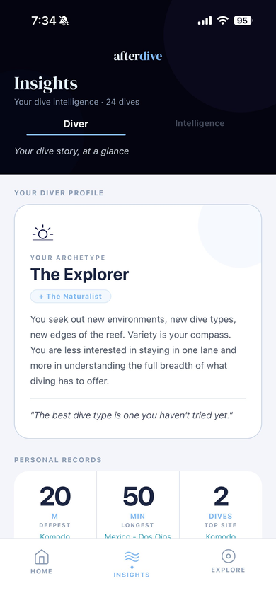 Insights - Diver Archetype